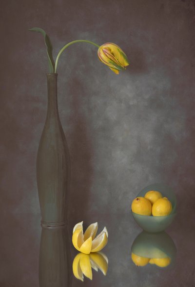 Půvabný tulipán a citrony od Lydia Jacobs