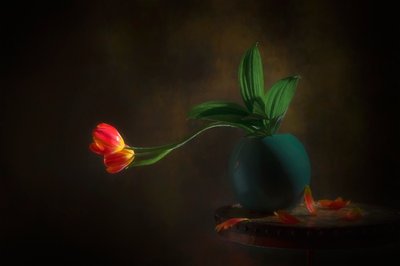 Zátiší s půvabnými tulipány od Lydia Jacobs