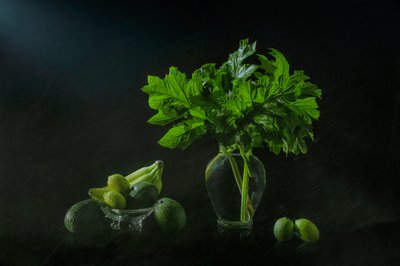 Bujné botanické zátiší od Lydia Jacobs