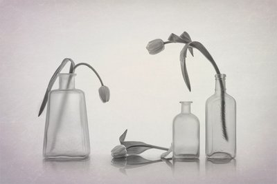 Tiché zátiší s tulipány od Lydia Jacobs