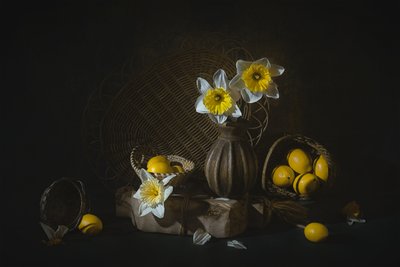 Jarní narcisy a citrony od Lydia Jacobs
