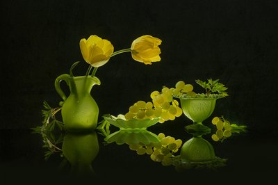 Žluté tulipány, zelené hrozny od Lydia Jacobs