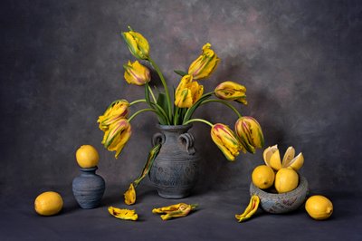 Žluté tulipány a citrony od Lydia Jacobs