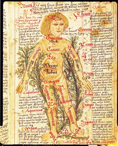 Vliv hvězd na nemoci lidského těla, z Tractatus de Pestilencia od M, Albik