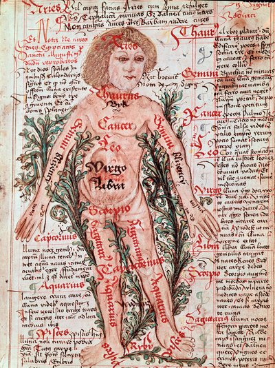 Medicína: vliv zvěrokruhu na lidské nemoci (Miniatura od M Albik