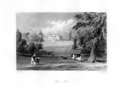 Pains Hill, Surrey, 19. století. od M. J. Starling
