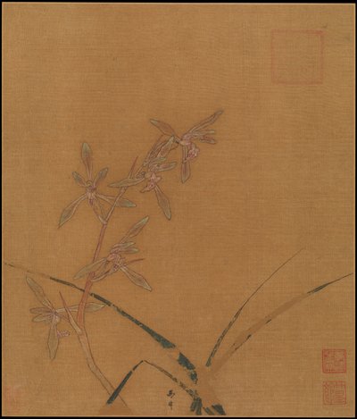 Orchideje, druhá čtvrtina 13. století. od Ma Lin