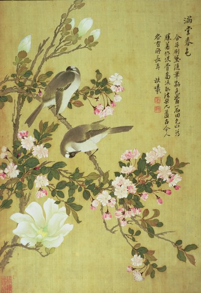 Crabapple, Magnolia a Baitou Birds od Ma Yuanyu