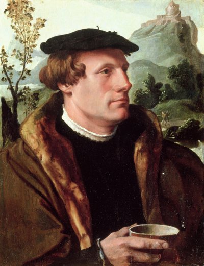 Portrét gentlemana od Maerten van Heemskerck