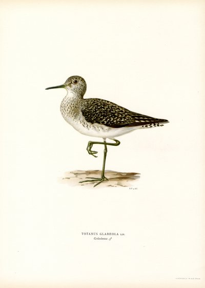 Sandpiper dřevěný (barva lito) od Magnus Ferdinand and Wilhelm von Wright