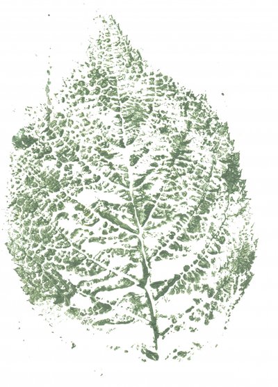 Botanický motiv s listy od Maira Ribena