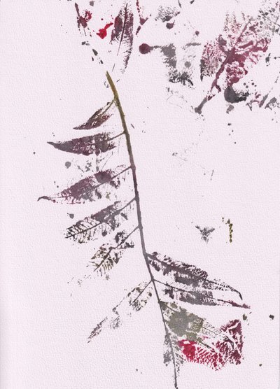 Dojmy z Dark Leaf od Maira Ribena