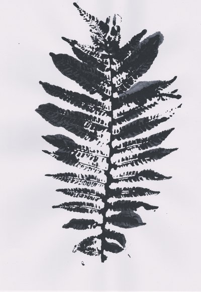 Elegantní Fern Leaf od Maira Ribena