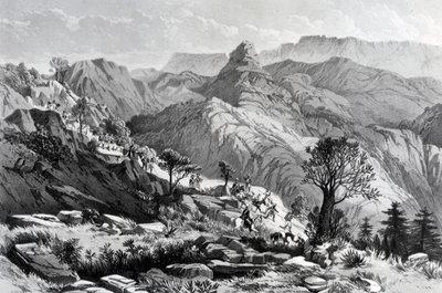 Na pochodu poblíž Dongolo, vyryl James Ferguson, 1868 od Major A.G.F. Hogg
