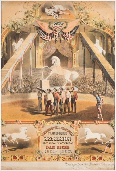 Nádherný a krásně vycvičený kůň Excelsior, kolem roku 1840 (chromolitho) od Major and Knapp Sarony