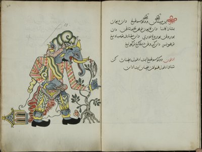 Kurkuma Java, MS 41 s. 20, obrázek 10, 1830 od Malay Malay
