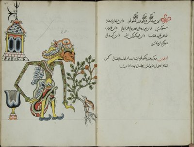Kurkuma Java, MS 41 s. 40, dnes 20, 1830 od Malay Malay