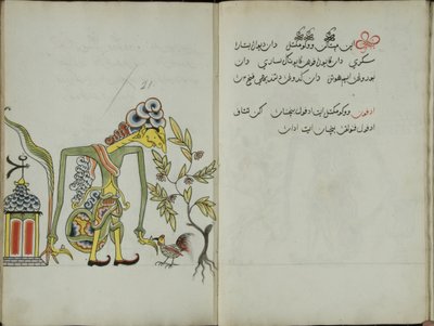 Kurkuma Java, MS 41 s. 42, obrázek 21, 1830 od Malay Malay