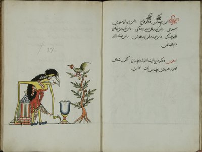 Kurkuma Java, MS 41 s. 54, obrázek 27, 1830 od Malay Malay