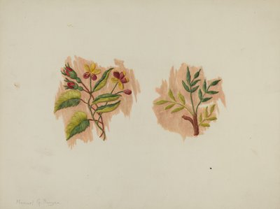 Fragment hedvábné spodničky, c. 1939. od Manuel G. Runyan