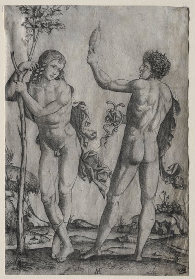Dva nahí muži vedle stromu od Marcantonio Raimondi