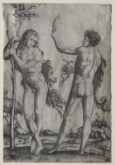 Dva nahí muži vedle stromu. od Marcantonio Raimondi