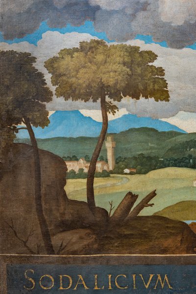 Detail města Vicenza od Marcello Fogolino