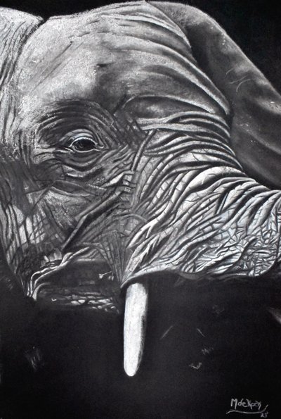Portrét majestátního slona od Marchelle de Kock