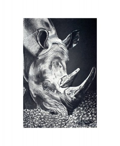 Výkonný pastvový systém Rhino od Marchelle de Kock