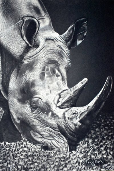 Výkonný pastvový systém Rhino od Marchelle de Kock