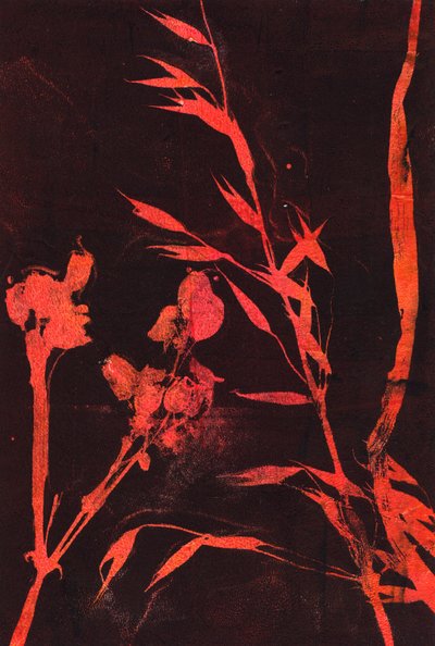 Červené listy, 2024 (monotyp) od Marco Campedelli