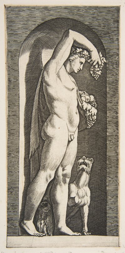 Bakchus stojící ve výklenku drží hrozny ve zvednuté pravici, ovoce v l..., ca. 1515-27. od Marco Dente