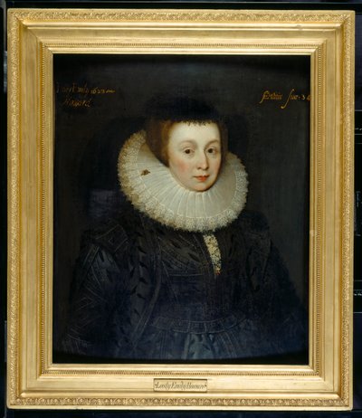 Lady Emily Howardová od Marcus Gheeraerts