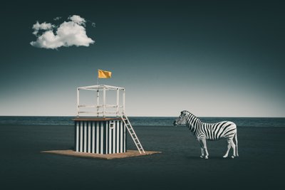 Surrealistická plážová zebra od Marcus Hennen