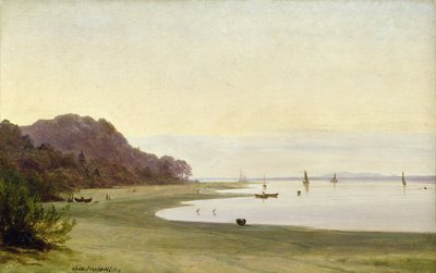 Břeh Labe (olej na papíře namontovaný na palubě) od Marcus Johann Haeselich