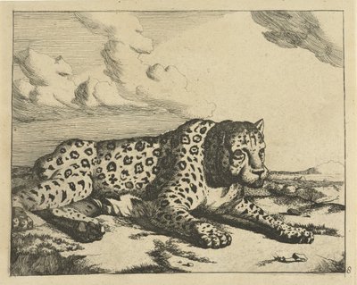 Leopard ležící vpravo, tlapy k divákovi Leopardi (název série) od Marcus de Bye
