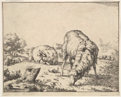 Ovce, ze sady 16 talířů, 1664. od Marcus de Bye