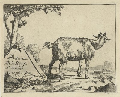 Stojící koza při pohledu zezadu Goats and Bucks (název série) od Marcus de Bye