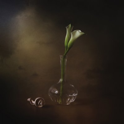 Elegantní kaly od Margaret Halaby