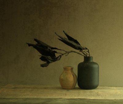 Minimalistické zátiší s listy od Margaret Halaby