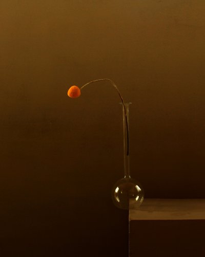 Minimalistická oranžová květina od Margaret Halaby