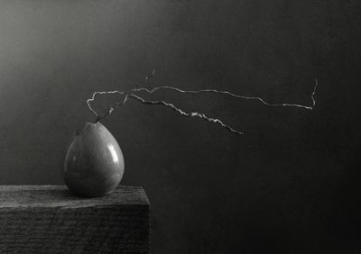 Monochromatická hruška a větev od Margaret Halaby