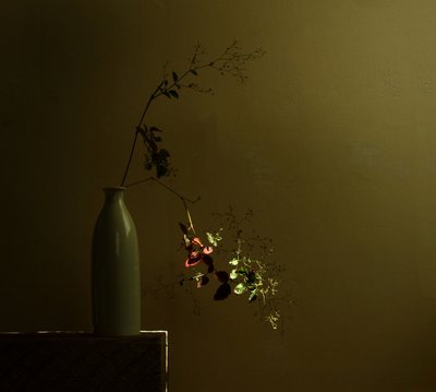 Moodyho botanické zátiší od Margaret Halaby