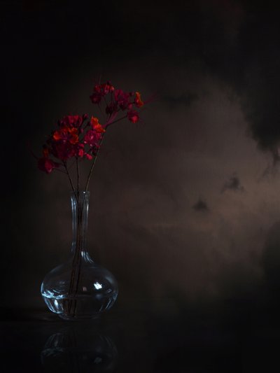 Náladové červené květy od Margaret Halaby