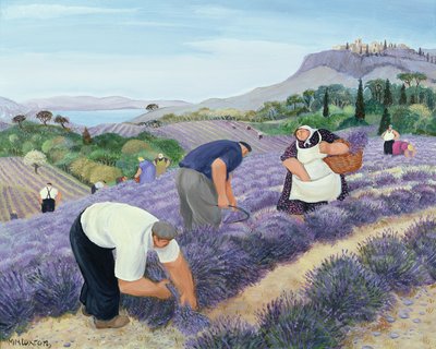 Levandule od Margaret Loxton