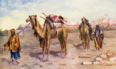Velbloudi a řidiči před Damaškem (barevná litografie) od Margaret Thomas