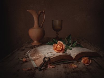 Kniha „Dark Academia Rose“ od Margareth Perfoncio