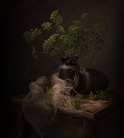 Temné botanické zátiší od Margareth Perfoncio