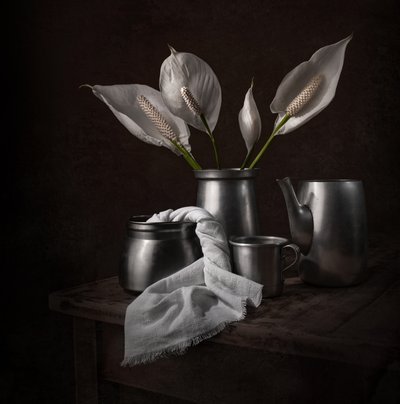 Elegantní pokojové lilie od Margareth Perfoncio