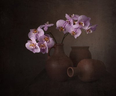 Zátiší s fialovou orchidejí od Margareth Perfoncio